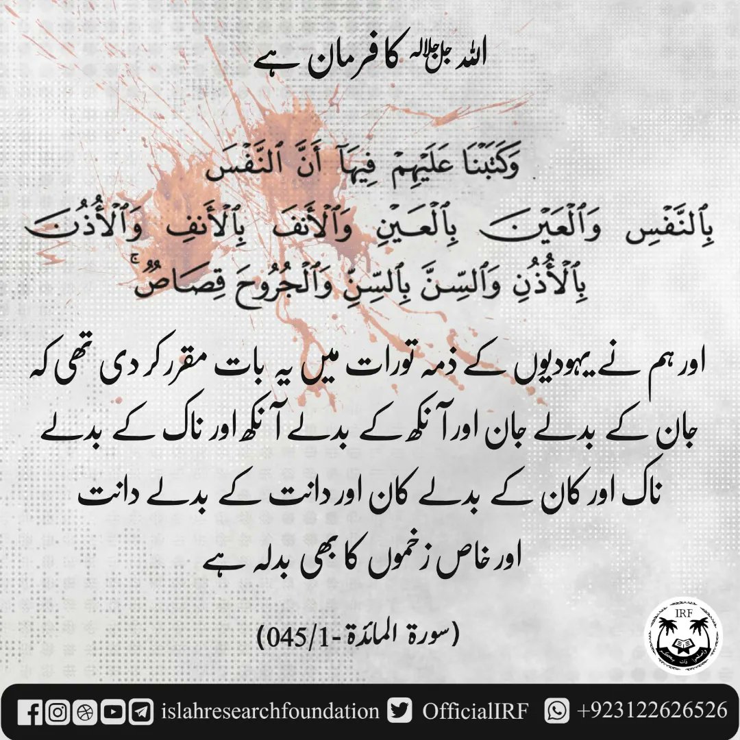 OfficialIRF's tweet photo. 005. Sorah al maidah - Verse 045
.
 #islamic #islamicquotes #islamicreminder #islamicart #islamicreminders #islamiccalligraphy #islamic_art #islamicclothing #islamicknowledge #islamicdesign #islamicpage #islamicbook #islamicworld #islamicpattern #islamiclife #islamicqoutes https://t.co/5RboCeFWcI