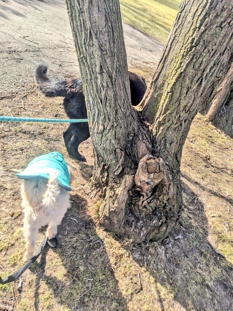 ★𝘾𝘩𖦪𝘪𝘴𝘴𝘺✰⋆࿔ tweet media