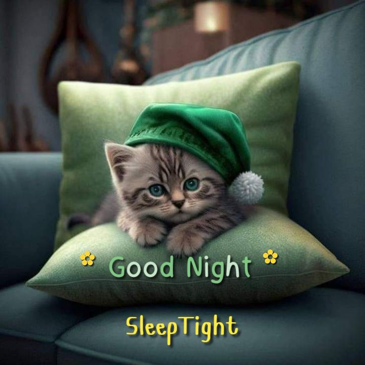 Always end the day with positive thoughts, 
No matter how hard things were,
Tomorrow's a fresh opportunity to make it better.🙂♥️

Good Night Lovelies ✨🌌
Sleep well 😪
Inshallah suba miltay hain 🙃