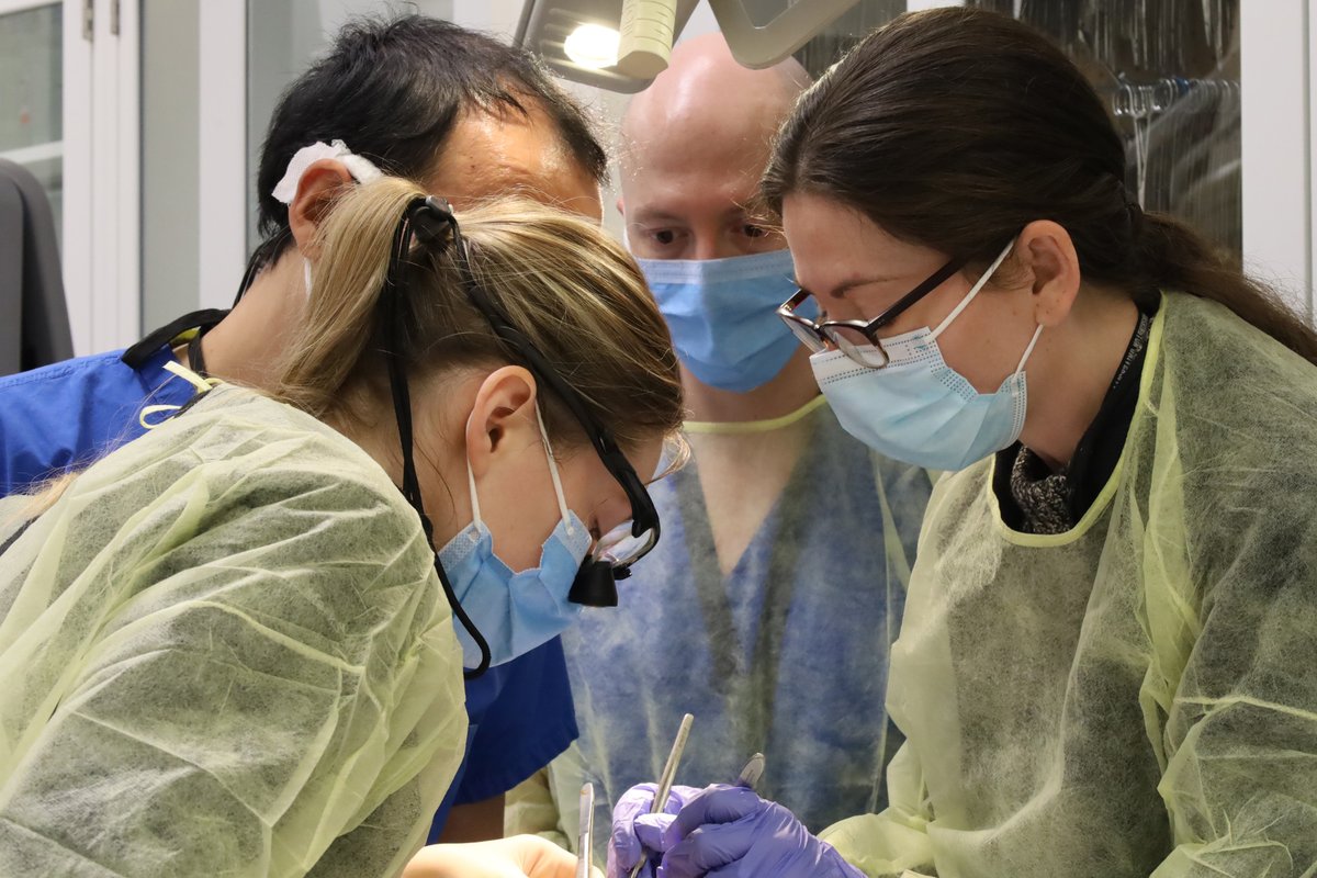washuplastics's tweet photo. Alison Snyder-Warwick, MD, Director of the Plastic Surgery Residency Program and expert in the treatment of cleft lip and palate, guided plastic surgery residents through a special lab dedicated to learning the skills needed for treating these conditions in the #WISEcenter. https://t.co/IUtLRDmAgC