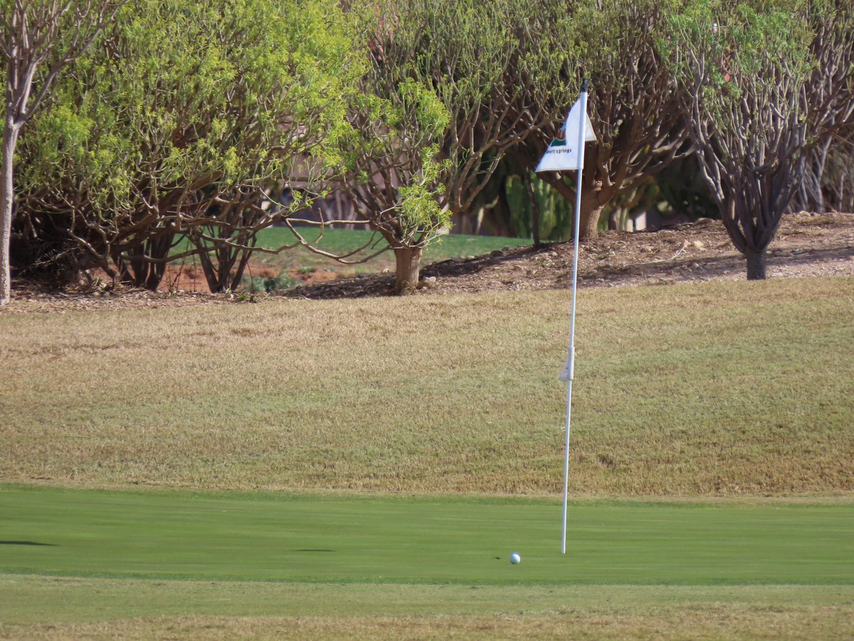 MillfieldGolf's tweet photo. Maddie’s tee shot on the 14th went close. Did she make the putt…….? Of course she did!!! @MillfieldSport @MillfieldSenior @Warner_News https://t.co/ysMmi6a5dA