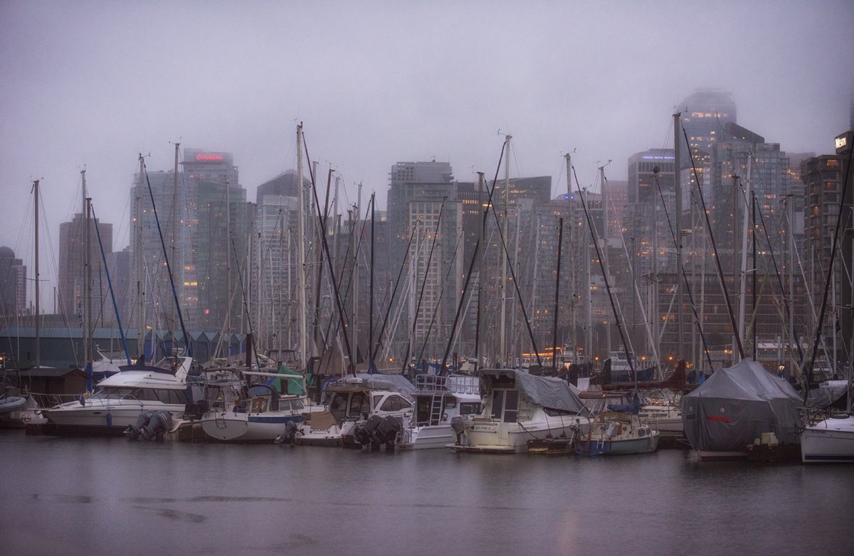 Stephanie Alexandra tweet media