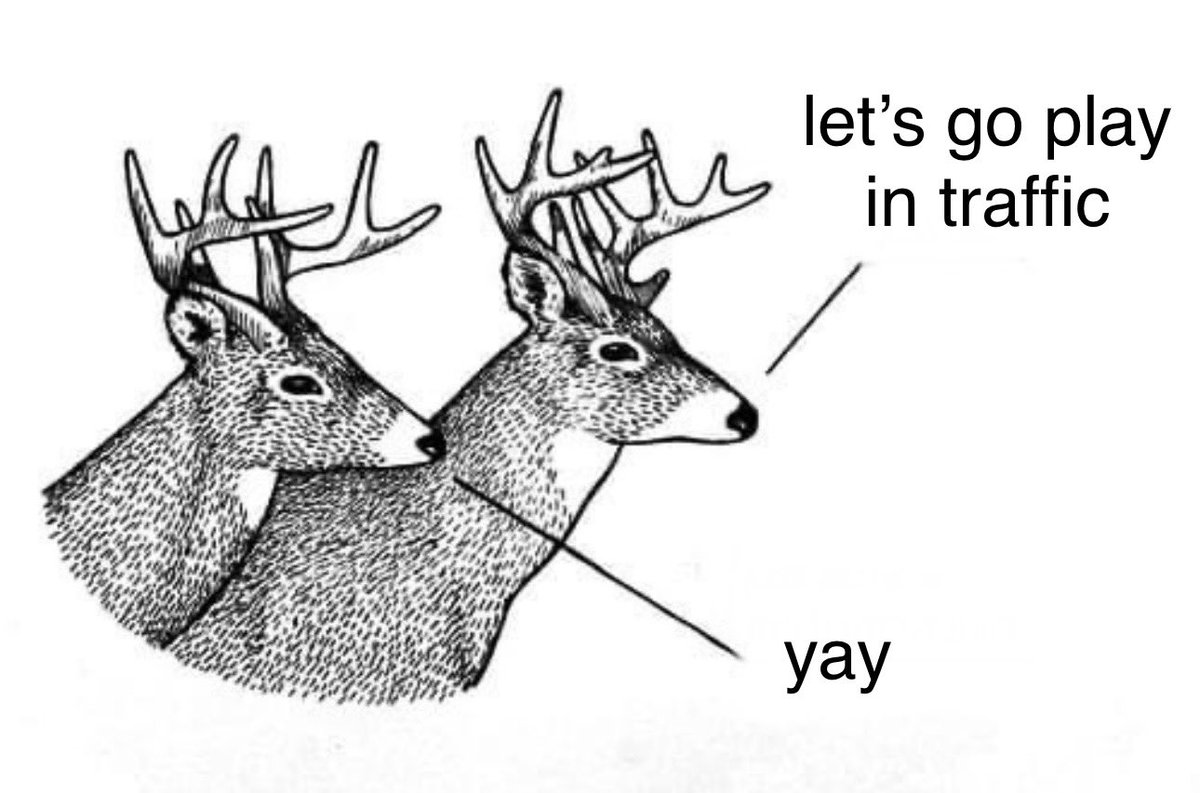 hope hopes hoping (@hopes_revenge) on Twitter photo 