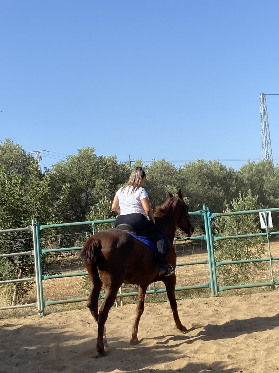 Necesito esto ya 🏇❤️‍🩹