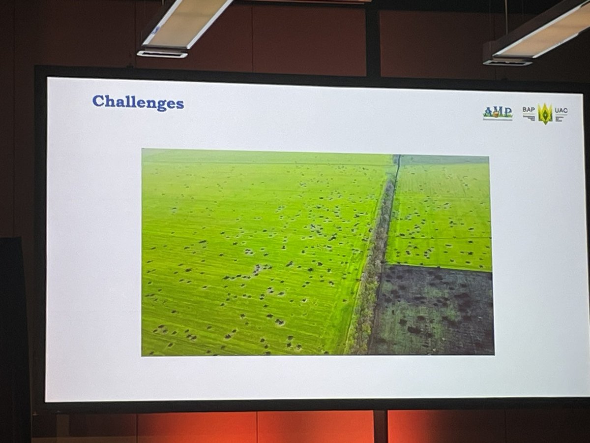 Warwick Long tweet media