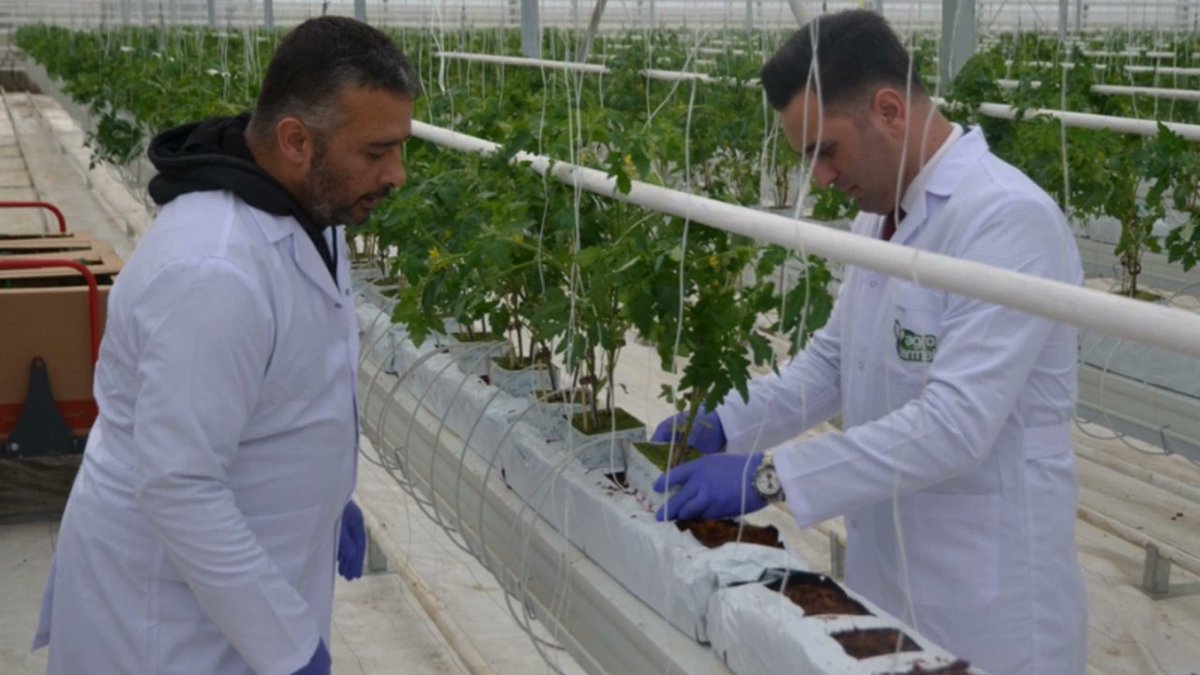 TurkishCentury's tweet photo. 🌿 Turkish agricultural technology company @agrotermal is opening a giant 1 million square meter(!) GEOTHERMALLY-HEATED #hydroponic #greenhouse in #Konya that will employ 1000 people &amp; grow fresh produce year around! #AgroTermal @YediyolHolding 🇹🇷 https://t.co/j4I3lSTxUj
