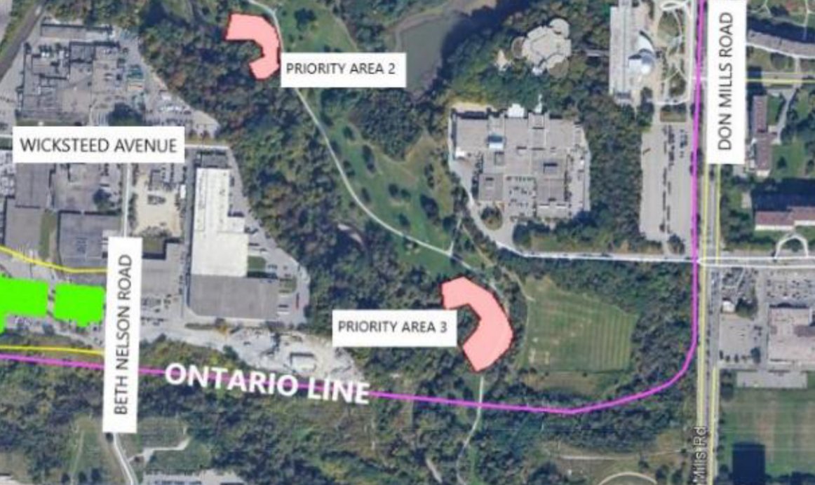 Rudy Limeback tweet media