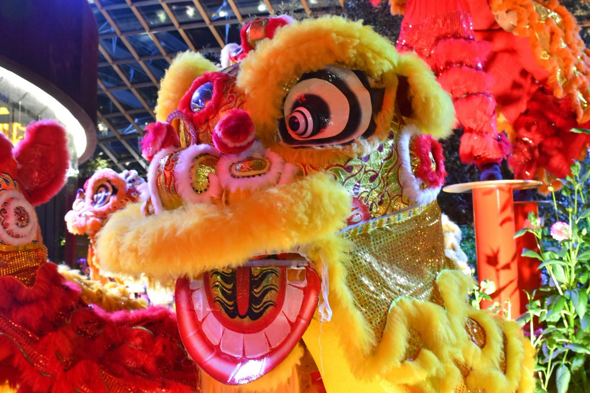 LICarTransport's tweet photo. Happy Lunar New Year!
https://t.co/N9tinlQsS8

#lunarnewyear #shangdynasty #yearofthedragon #culturalrevolutionof1967 #SpringFestival

Follow Us!  
Pinterest: https://t.co/CzBzKgnJ9I
Facebook: https://t.co/YdM9AD7kNM https://t.co/qK5VWormyG
