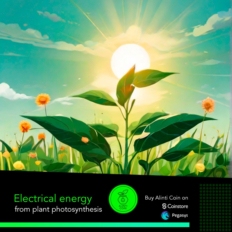 AlintiCoins's tweet photo. At 🌱Alinti we transform the energy of the sun and plants into electricity⚡ and with this we generate regenerative finance systems.🌎💚♻️
@CoinstoreExc
@CoinStoreHUB
@CoinStoreWallet
#Cryptocurrency #Blockchain #altcoins #ReFi #CryptoGreen #AlintiCommunity #GreenInvestments https://t.co/QtvhSkIrDO