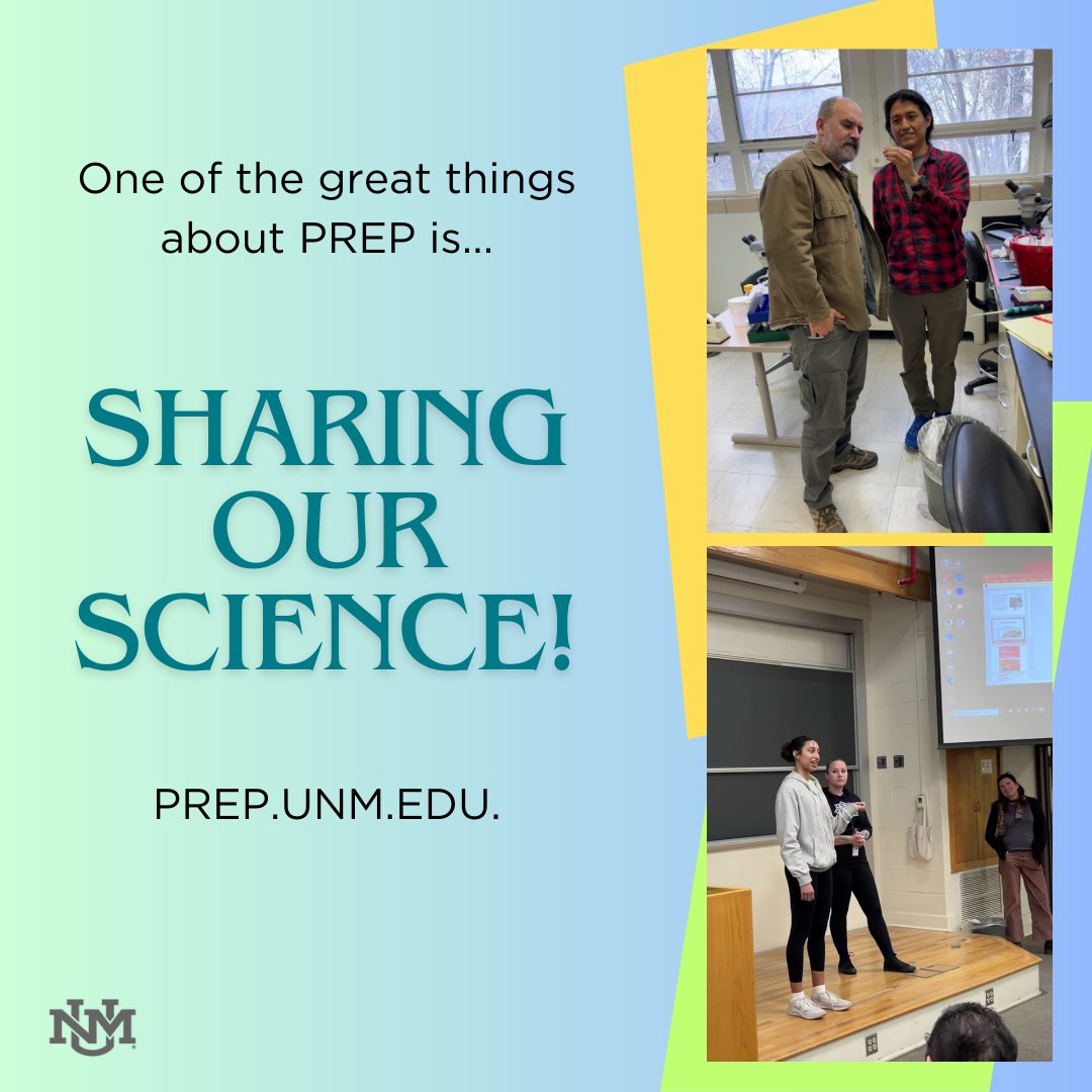 PrepUnm's tweet image. There is nothing more exciting than hearing our PREP Scholars share their research interests and discoveries! #UNM #biomedicalresearch #cancerresearch #mentoringmatters #representationmatters #knowledgesharing