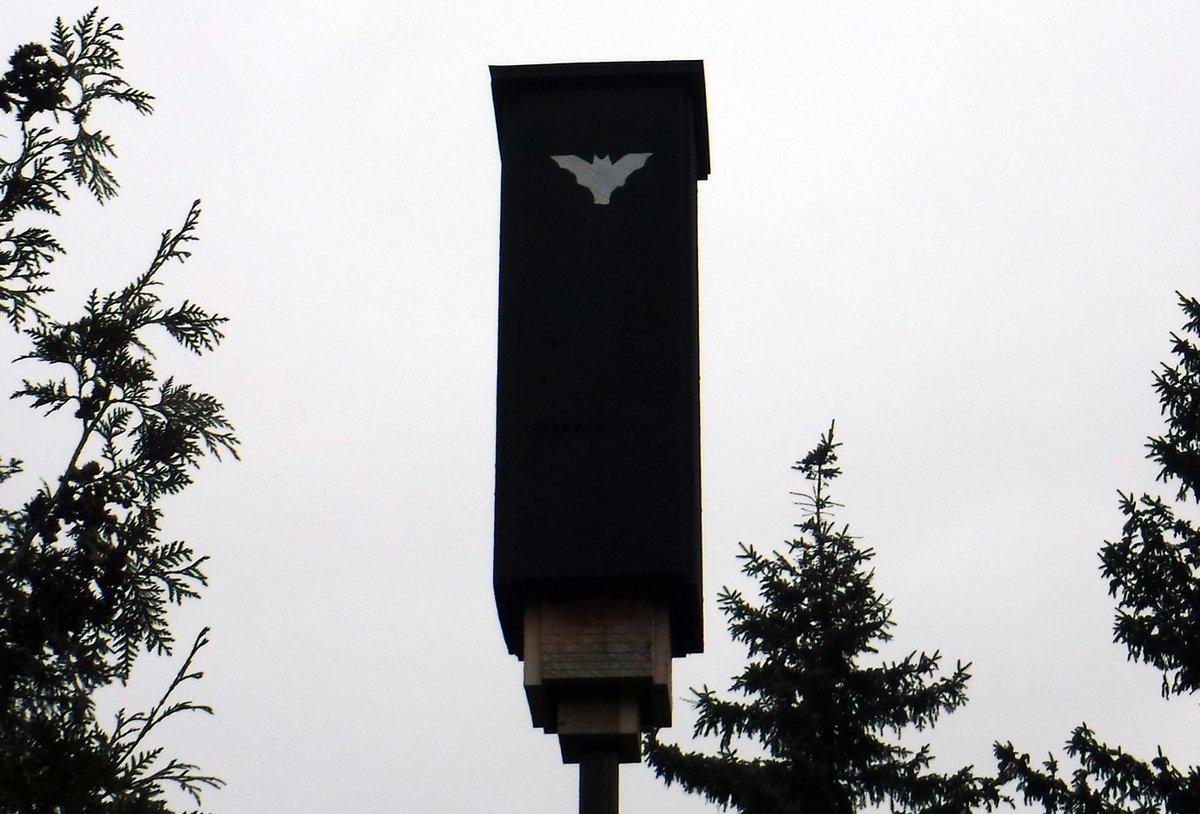 rudydotca's tweet photo. while walking through E T Seton park, i noticed several of these new bat houses
nice to see continuing care for our wildlife, by @TRCA_HQ presumably
#parksTO https://t.co/mHbVimvCyu