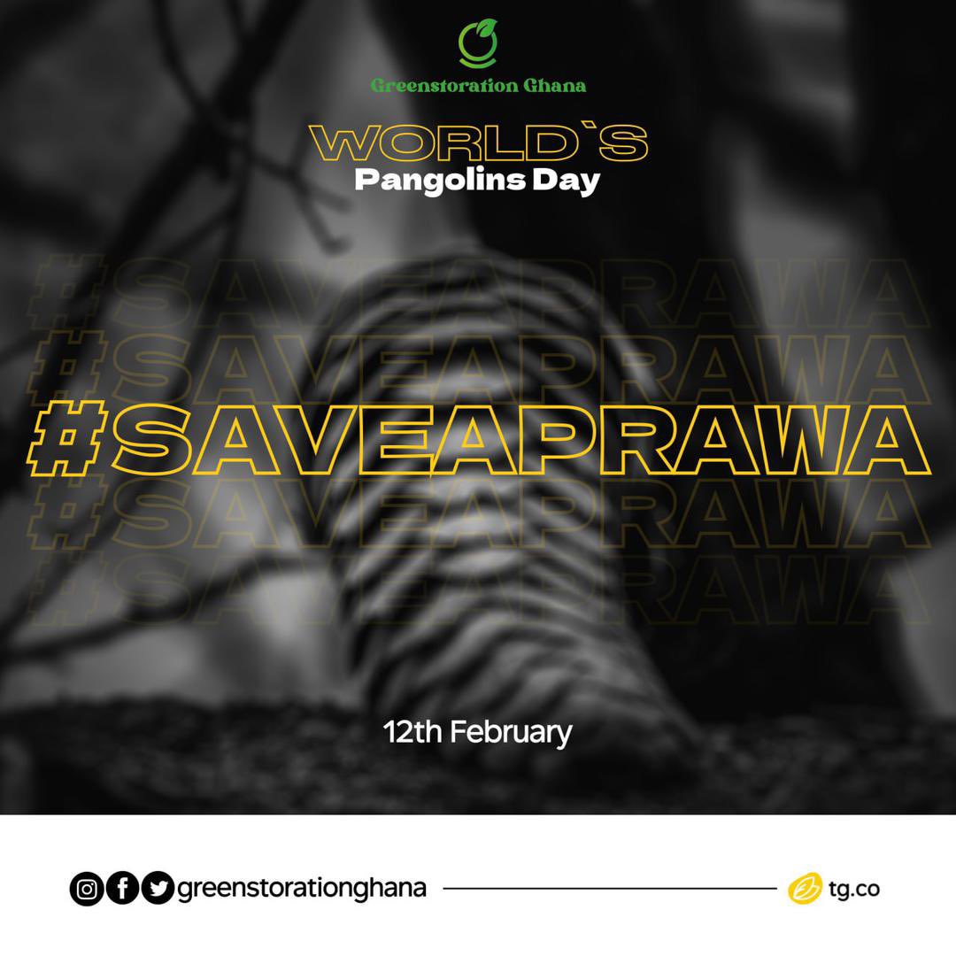 greenstoration's tweet photo. Today's #WorldPangolinDay highlights the importance of these unique mammals, known for controlling insect populations. 

Sadly, they face extinction due to the illegal wildlife trade. 

Let's raise awareness, and support their conservation. #WorldPangolinsDay #ProtectPangolins https://t.co/ZWKJOT9Qn2