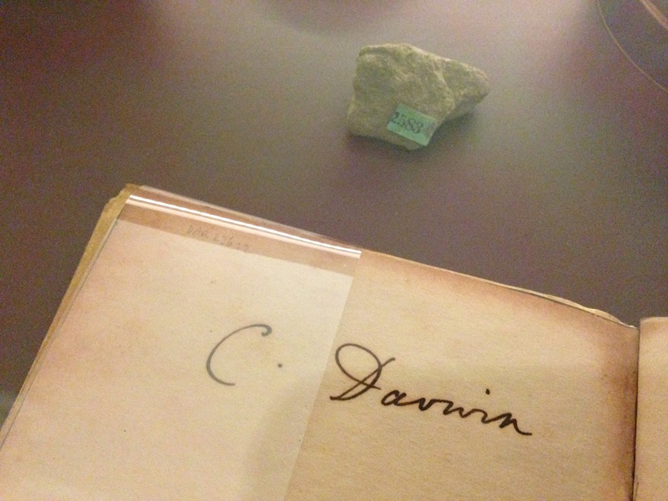 Geology_History's tweet image. February 12, 1809, birthday of Victorian naturalist and 'rockhound' on board of H.M.S. Beagle Charles R. #Darwin 🪨🔨#DarwinDay #darwinday2024 
 forbes.com/sites/davidbre…