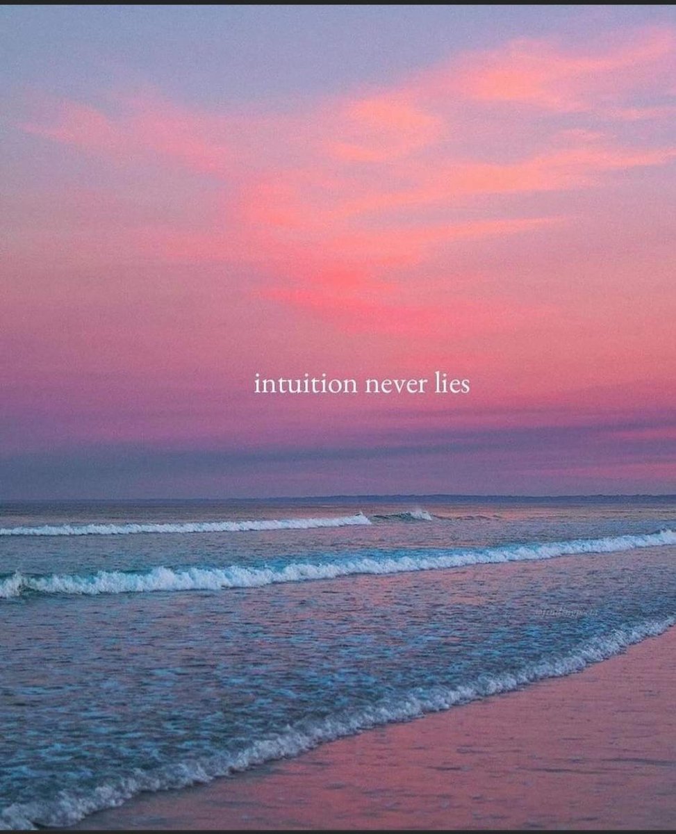 Adriana Calvillo tweet media