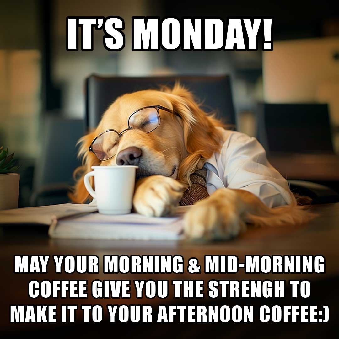 🎉 🥳 #HappyMonday! Let's fetch that energy and make it through to the next #CoffeeBreak! 🐶 ☕️ #MansBestFriend #WomansBestFriend #GroupTours #AmazingDestinations
