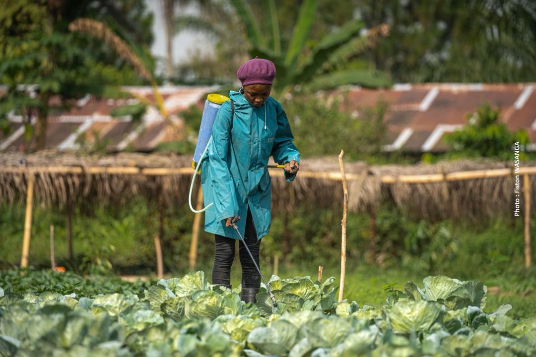 BingwaRdc's tweet photo. Les jeunes doivent tomber amoureux de l'agriculture.
L'agriculture est une profession noble.
#Apprenons  📝
#Aimons et #pratiquons l'agriculture 🍅🫑🍉
@Enabel_en_RDC @CIFOR @leFIDA @sofepadi @amaindo @FondationJBS @JeanBamanisa @Bingwa_Hub @MakalambaPat @mateus_kanga https://t.co/AnZjpS9VcE