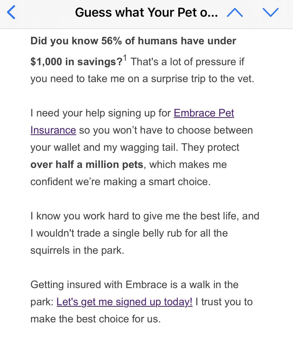 Sameersview's tweet photo. @EmbracePetIns @USAA Please don’t fall for Embrace Pet Insurance scam. They don’t pay when you really need it. If you got this email, please don’t fall for it. https://t.co/b2jfS8yZRR