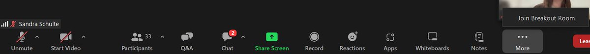 SpeakinStrictly's tweet image. WTF is this UI, @Zoom? Why there is an overflow button to show... one button?
#terribleUI #UXfails #conference