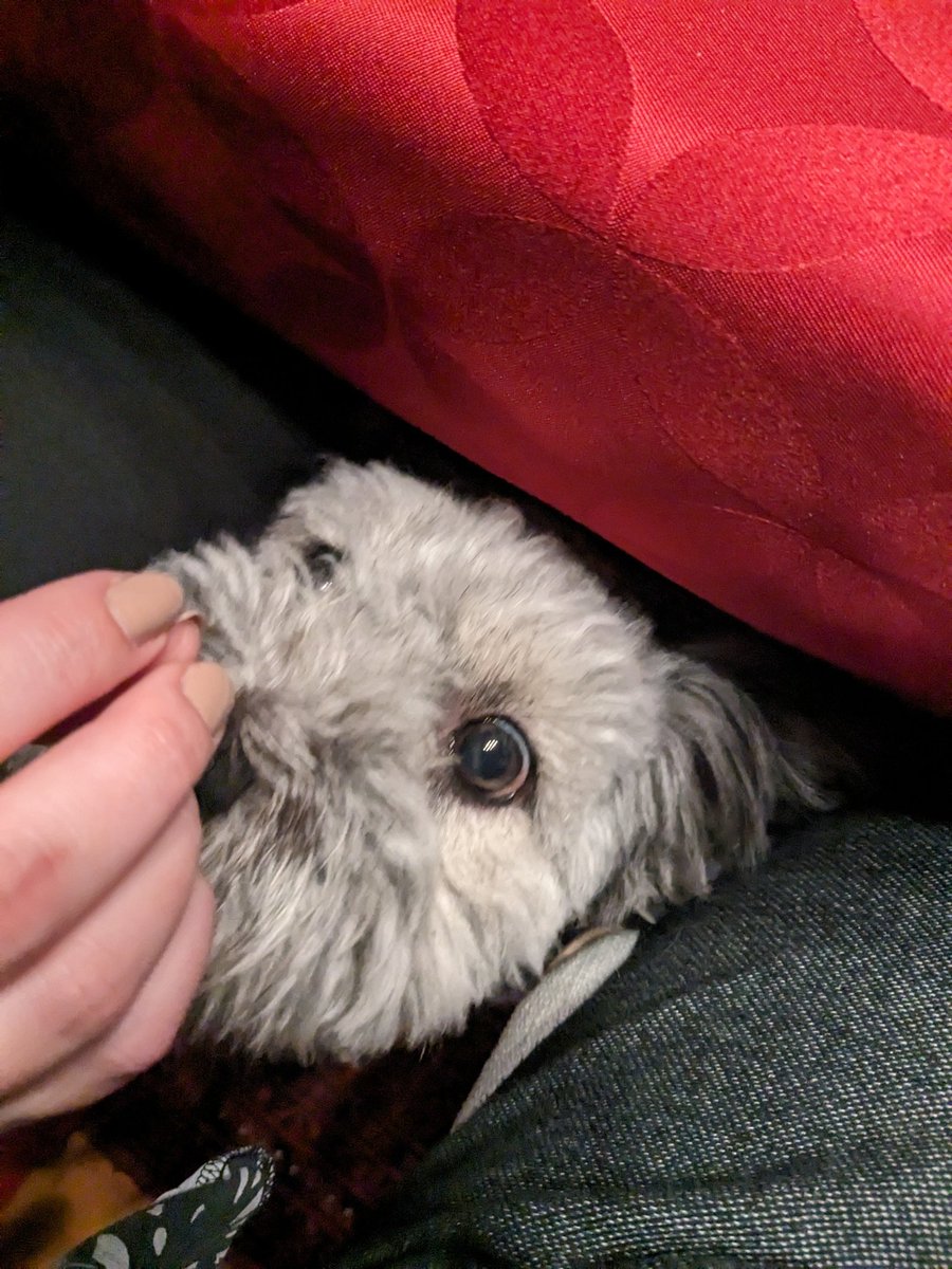 2 Fragen: warum krieg ich nix vom Tisch?
Und wo sind meine Ohren geblieben?