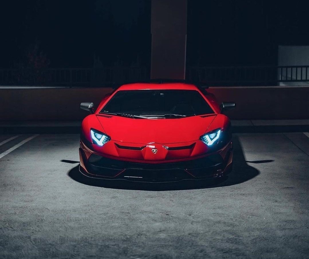 𝑫𝒂𝒊𝒍𝒚𝑳𝒂𝒎𝒃𝒐𝒓𝒈𝒉𝒊𝒏𝒊🐃™ tweet media