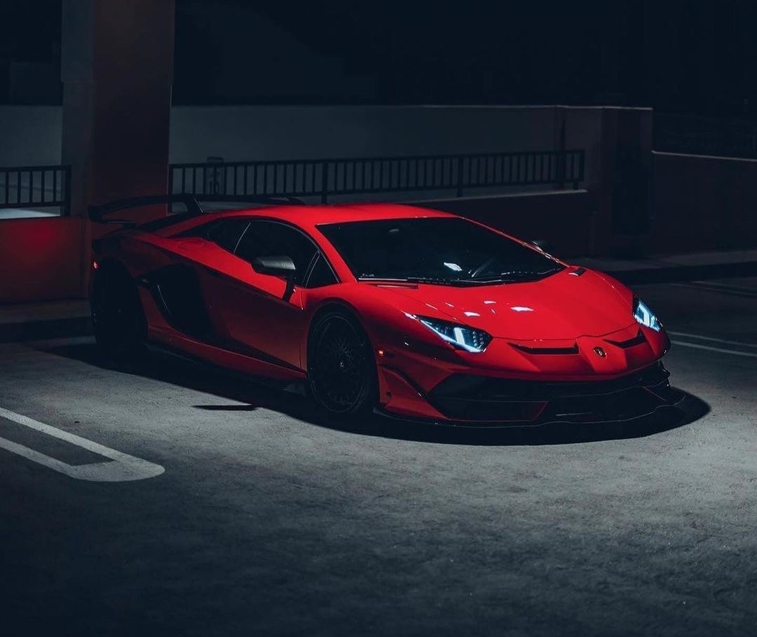 𝑫𝒂𝒊𝒍𝒚𝑳𝒂𝒎𝒃𝒐𝒓𝒈𝒉𝒊𝒏𝒊🐃™ tweet media