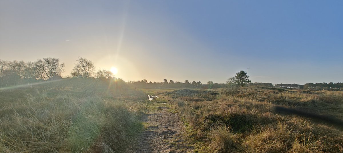 PensionBakema's tweet photo. De zon uit Nes 😍 https://t.co/bSgMZKLfl9
