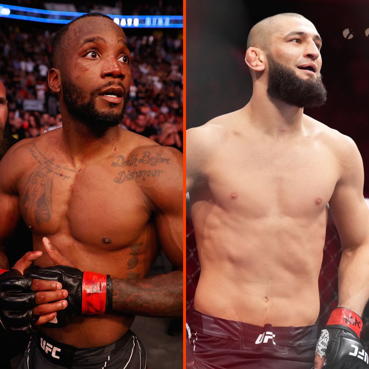 MMA Orbit tweet media