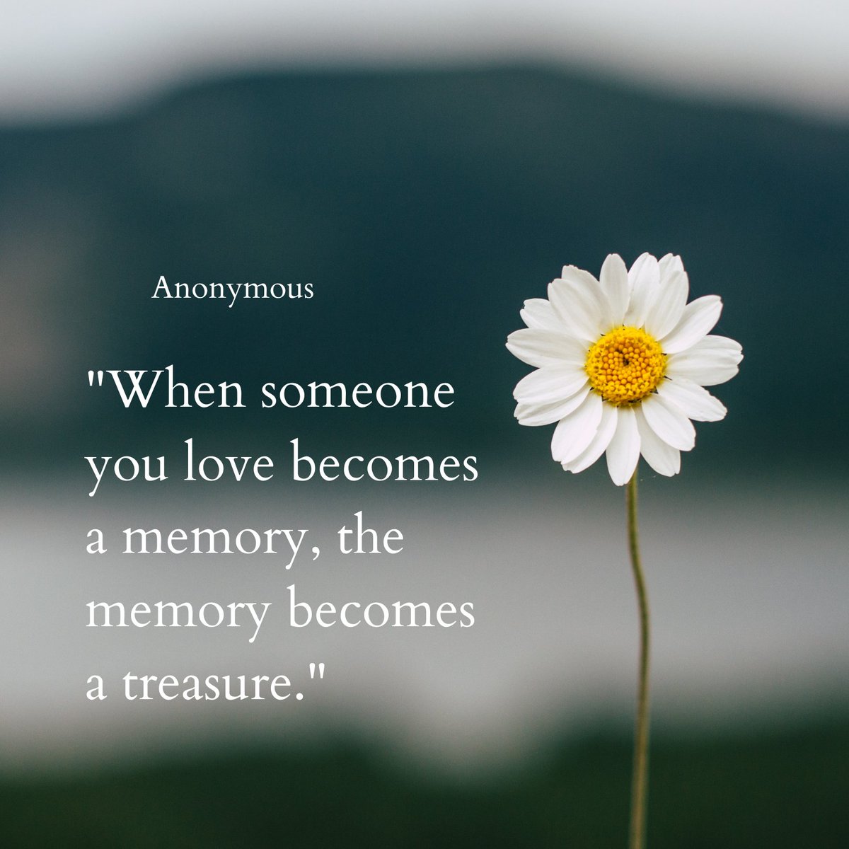 Grief is a journey that isn't always easy. Let's offer our support to those who are grieving. Discover ways to provide comfort and assistance through our resources at schoolcrisiscenter.org.

#SupportInGrief #CherishedMemories