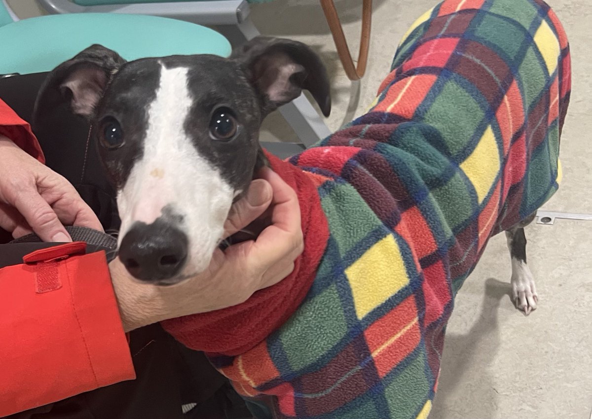 Kai 🌈& Co tweet media