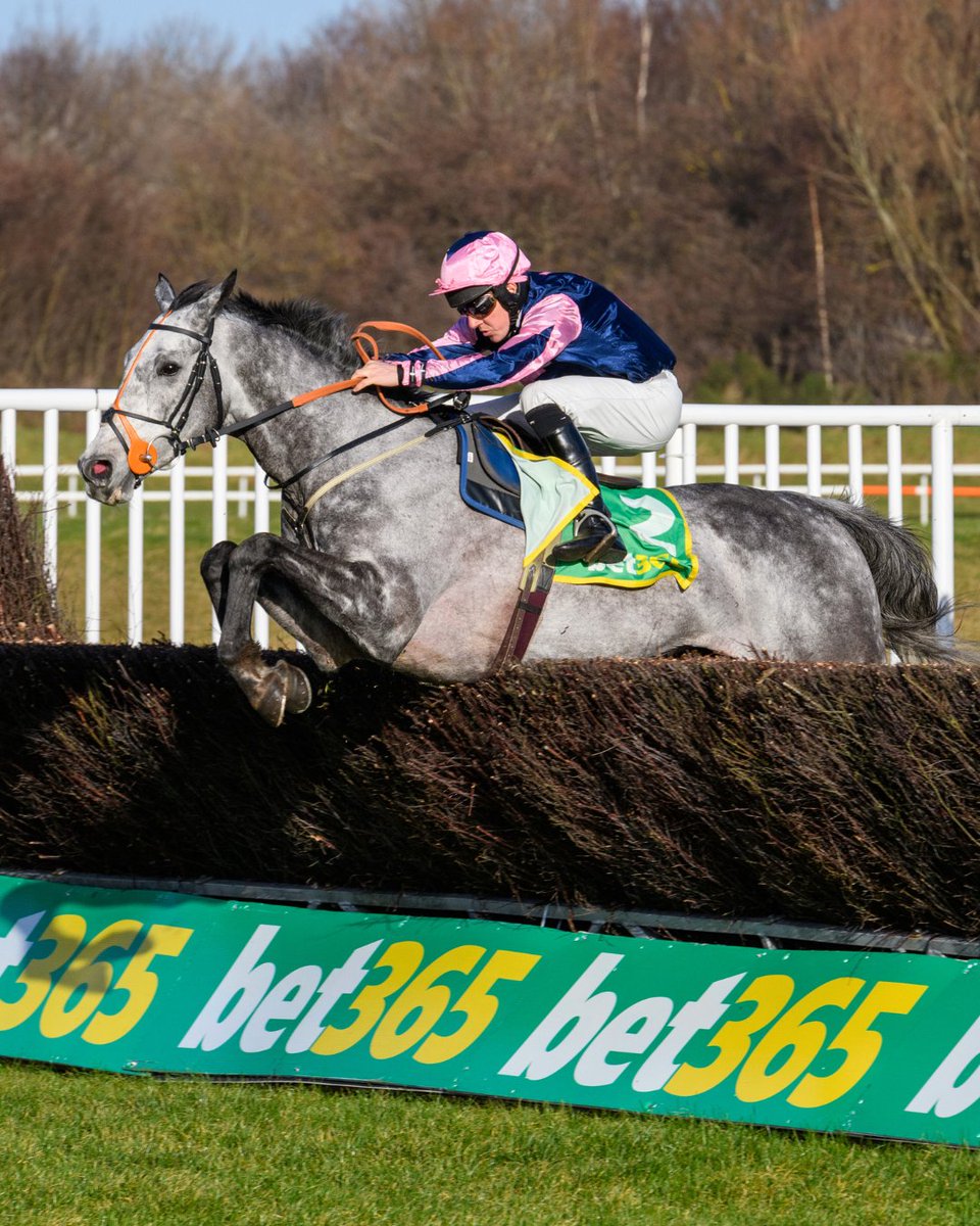 Super Sunday Raceday incoming 🔜 It's our final jump fixture until April!

📅 Sun 18 Feb
⌚ Gates Open: 12:00
🏇 Seven jump races
🍺 Young Farmer's Bar &amp; after-racing party
🥂 Limited hospitality remains

Book now and SAVE!👇🏻
🎫 bit.ly/48qXPwB

#MusselburghRaces