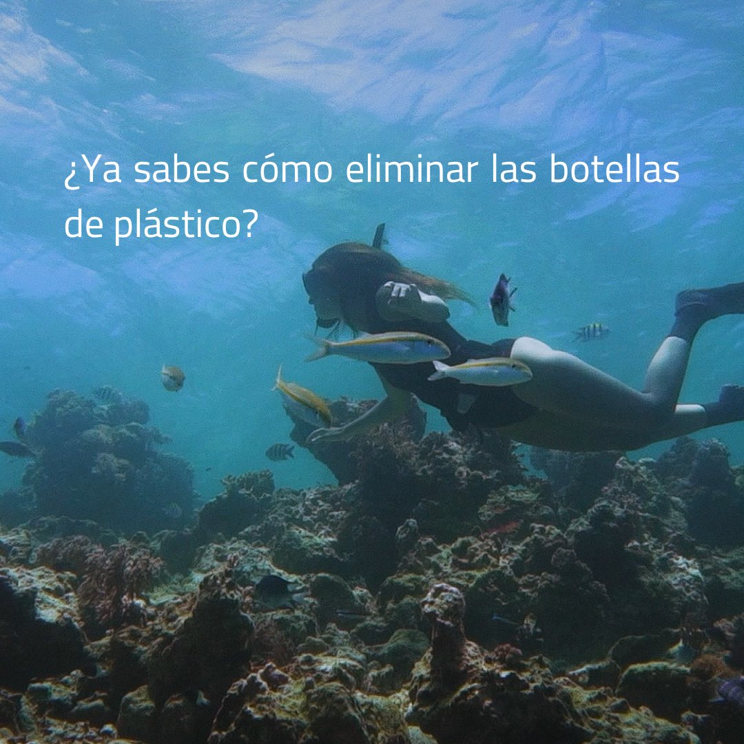 generalwatersys's tweet photo. ¡Sumérgete en la solución para un mar más limpio! 🌊♻️

Deja atrás el agua embotellada y abraza una alternativa más sostenible.

Descalcificadores y ósmosis: ¡la clave para un futuro más limpio! 💧

#tratamientoagua #agua #descalcificadores #reducirplasticos #sostenibilidad https://t.co/5VhvenjZmM