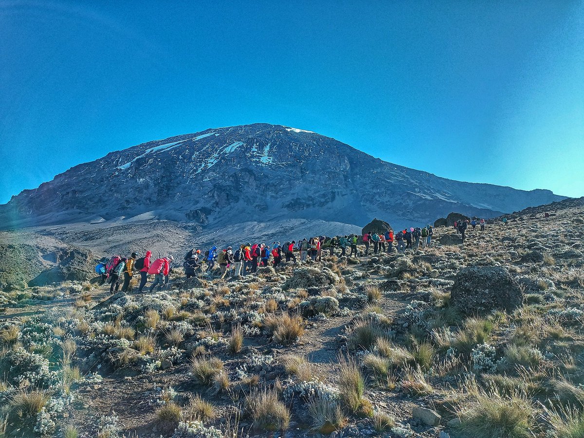 Magical Experiences with <a href="/SpikyTours/">Spiky Tours</a> 
Call/Email us for customized itineraries 👇
📲 +259796597208
📩 info@spikytours.com

#mtkenya #kilimanjaro #mountkenya #kenyasafari #safari #masaimara #serengeti #tanzaniasafari