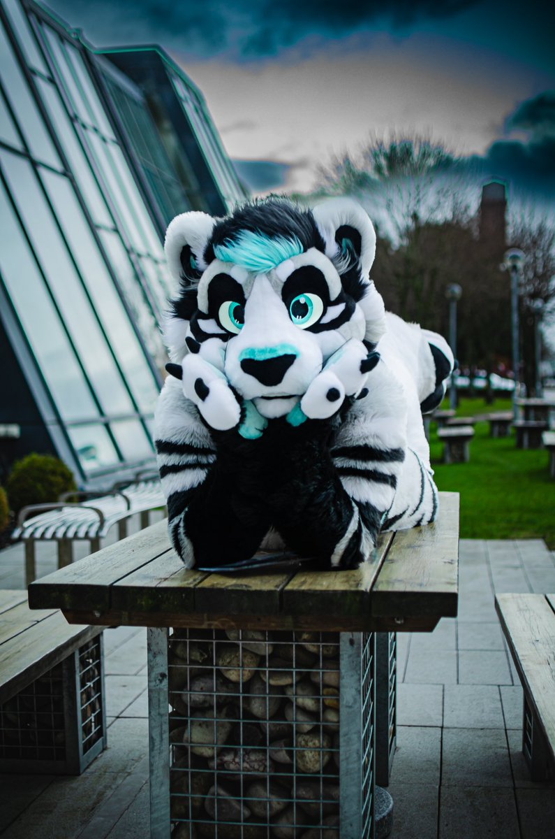 Hay they cutie, what you doing? 💖💖

🪡<a href="/WildDogWorks/">WildDogWorks.com on 🦋</a> 

📸<a href="/KafesCoffeeCat/">𐕣 𝔐𝔞𝔶𝔥𝔢𝔪 𐕣</a> 

#fursuit #FursuitEveryday