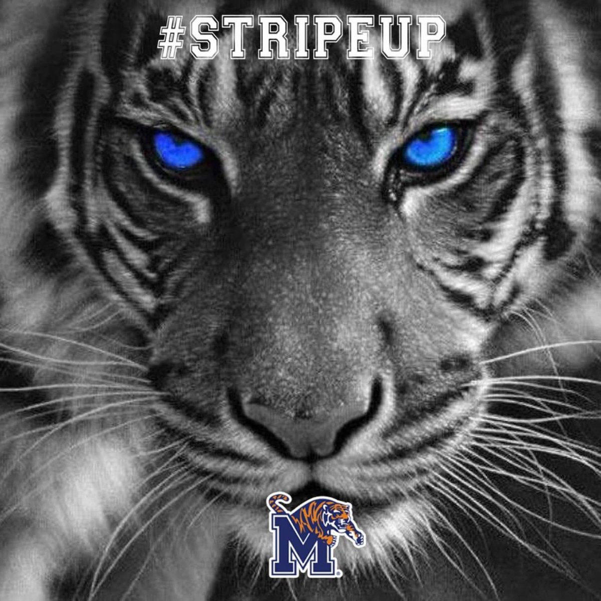 Memphis!! <a href="/reggiehoward/">Reggie Howard</a> <a href="/MemphisFB/">Memphis Football</a>