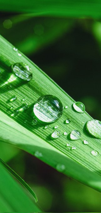 s'il vous pla&icirc;t, arr&ecirc;tez de me comparer &agrave; Greta Thunberg. Je ne porte pas de foulards terroristes et<a href="/tag/france"class="tags"><span>#france</span></a><a href="/tag/whatstrending"class="tags"><span>#whatstrending</span></a>