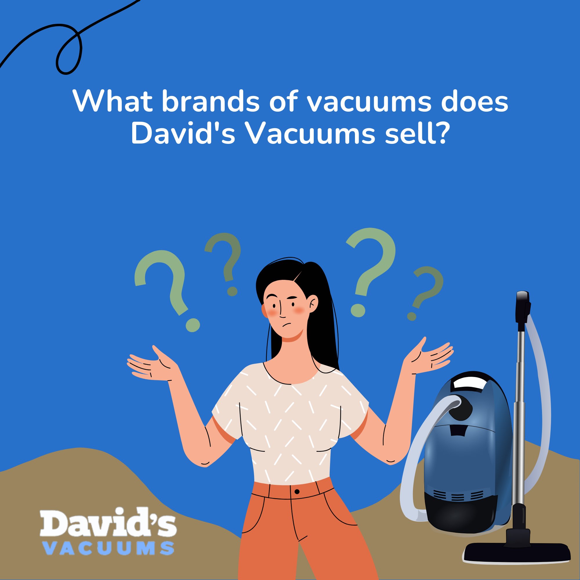 David's vacuums 2024