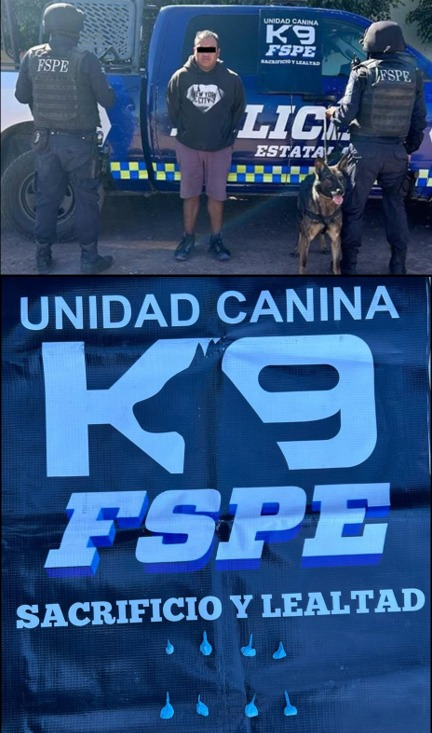 FSPE_Gto's tweet photo. • Gracias al agudo olfato de la oficial #Cessy de la Unidad Canina K9, detectó la presencia de sustancias ilegales, y detuvimos a un sujeto en posesión de droga.
https://t.co/jjkJy0XBv4… #AccionesFSPE #GuanajuatoSeguro
#AccionesFSPE #SeguridadGto
@SeguridadGto @AlvarCdeV https://t.co/F5nZDMc3Oo