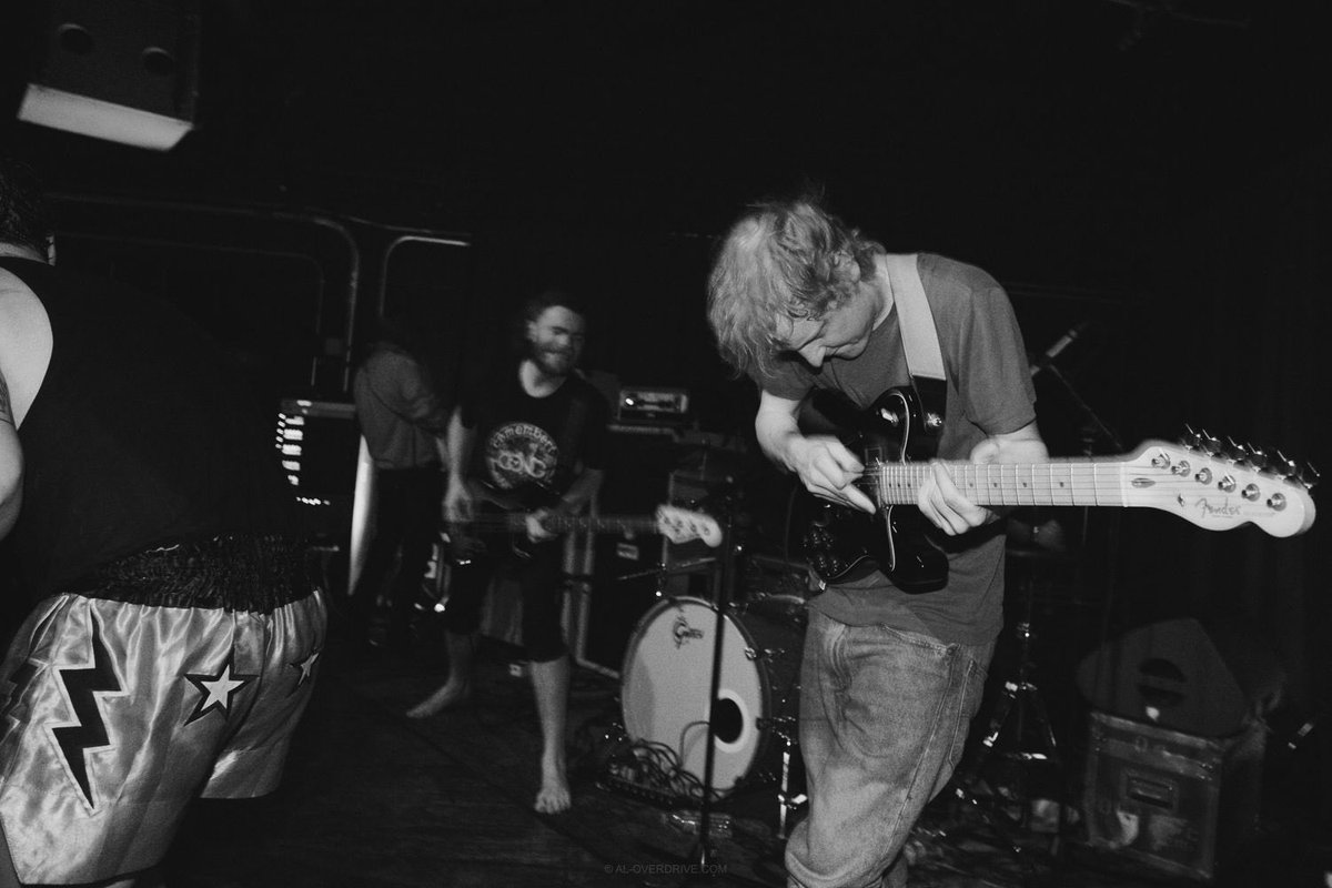 Pigs Pigs Pigs Pigs Pigs Pigs Pigs tweet media