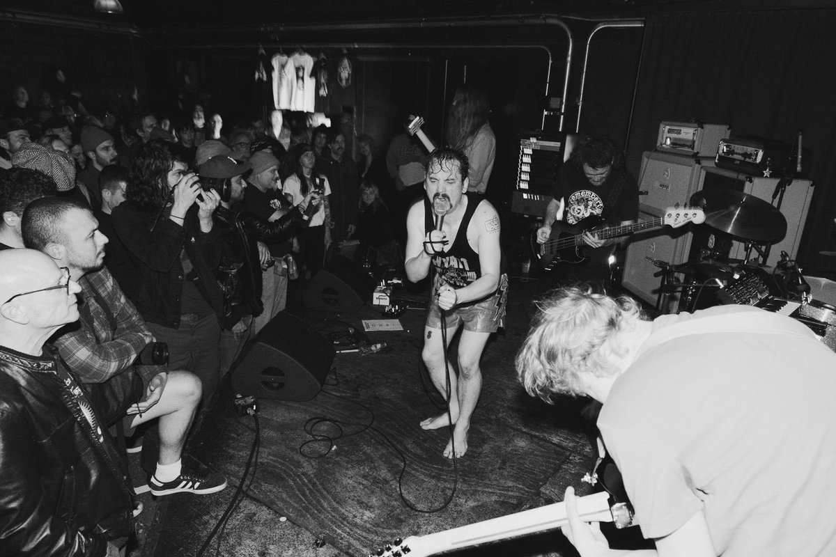 Pigs Pigs Pigs Pigs Pigs Pigs Pigs tweet media