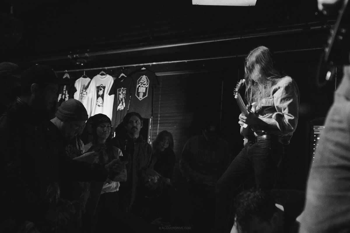 Pigs Pigs Pigs Pigs Pigs Pigs Pigs tweet media