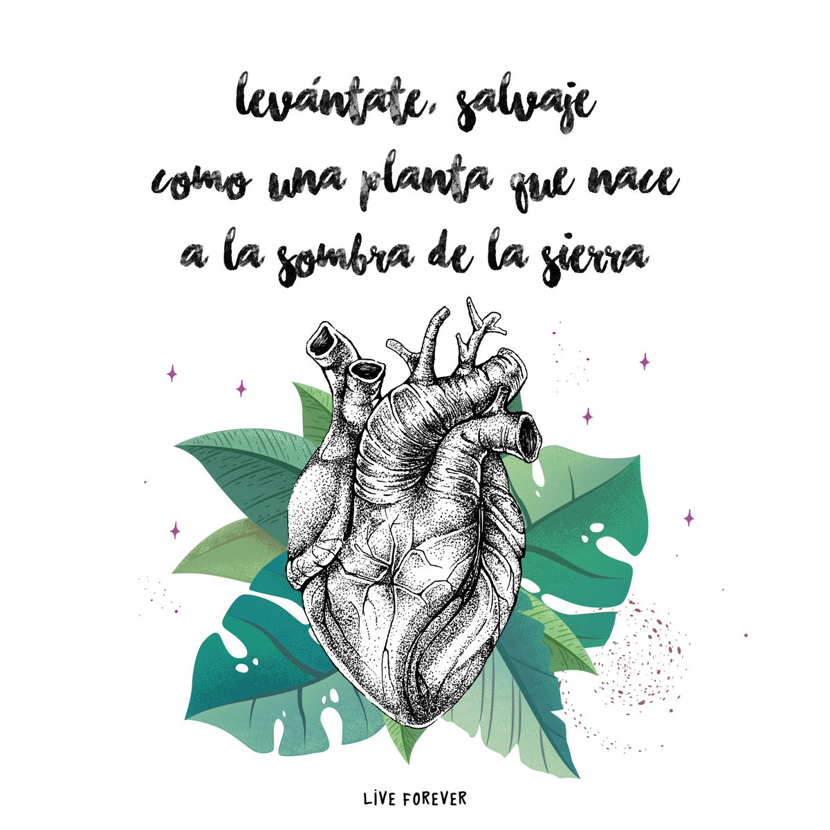 Si te encuentro gritaré a viva voz,
que prefiero verte que ganar la guerra 🖤
<a href="/laraiz_oficial/">La Raíz</a>