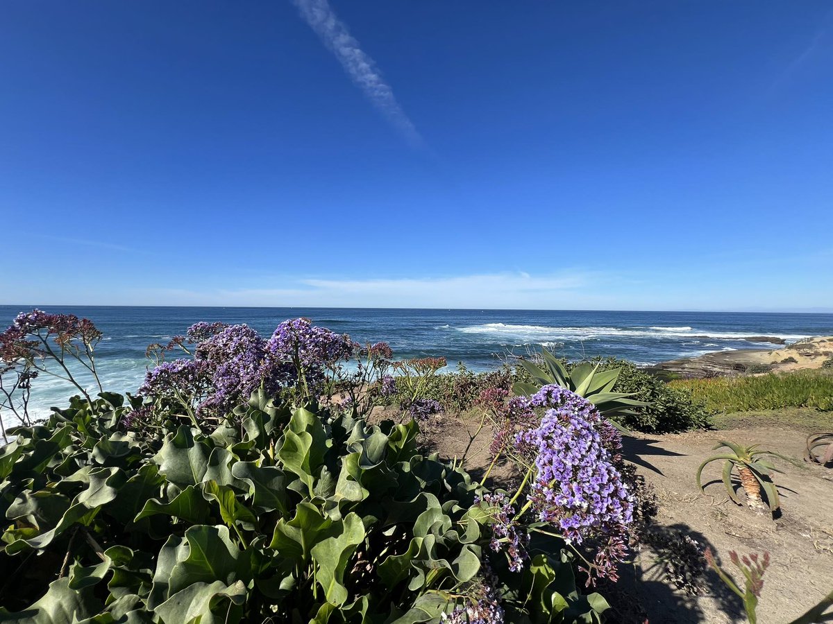 "Golden sands and ocean waves, a symphony of serenity awaits. 🏖️✨ Embrace the tranquility of the beach and let your worries drift away with the tide.  #Serenity #OceanVibes"