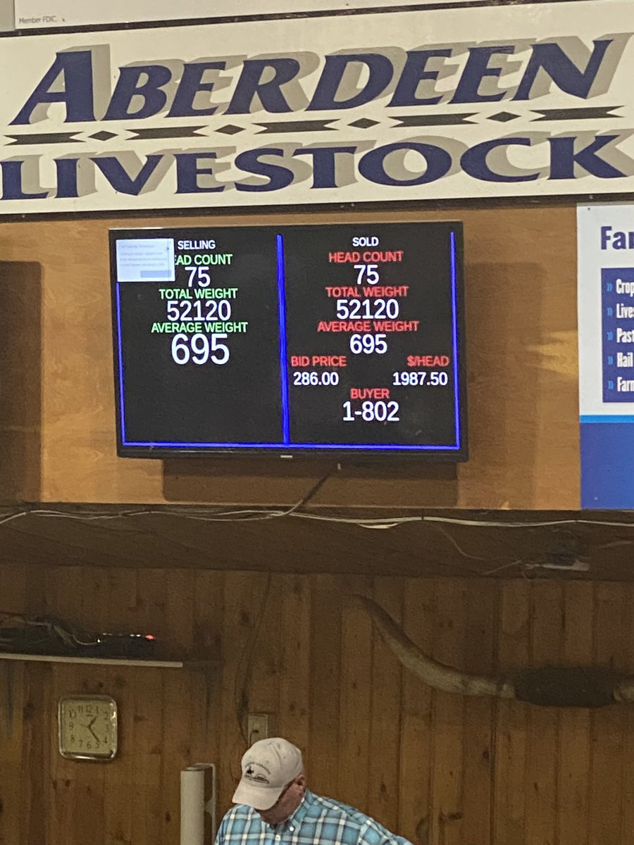 300 black steers 693# average $286.00 Aberdeen Livestock 02/12/24. 🔥