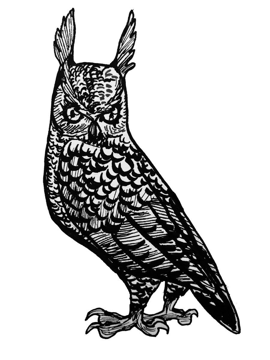 Horned owl!