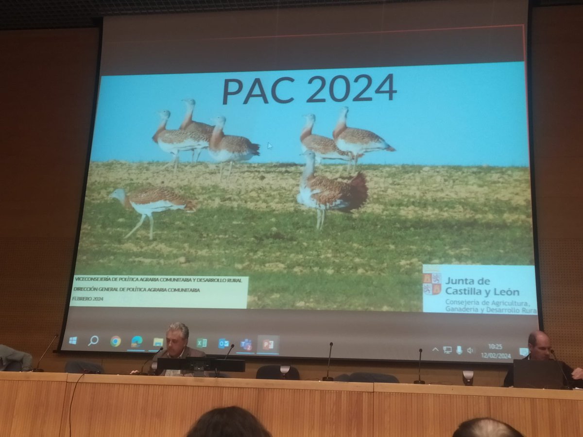 urcacyl's tweet photo. Los técnicos de @Urcacyl y de sus #cooperativas asisten a la jornada explicativa sobre la normativa y la aplicación informática #PAC24.

Importante en esta segunda campaña #PAC2327 con cambios y con la situación de tensión 🚜🚜🚜🚜 en el campo. https://t.co/7tZY26VCfv