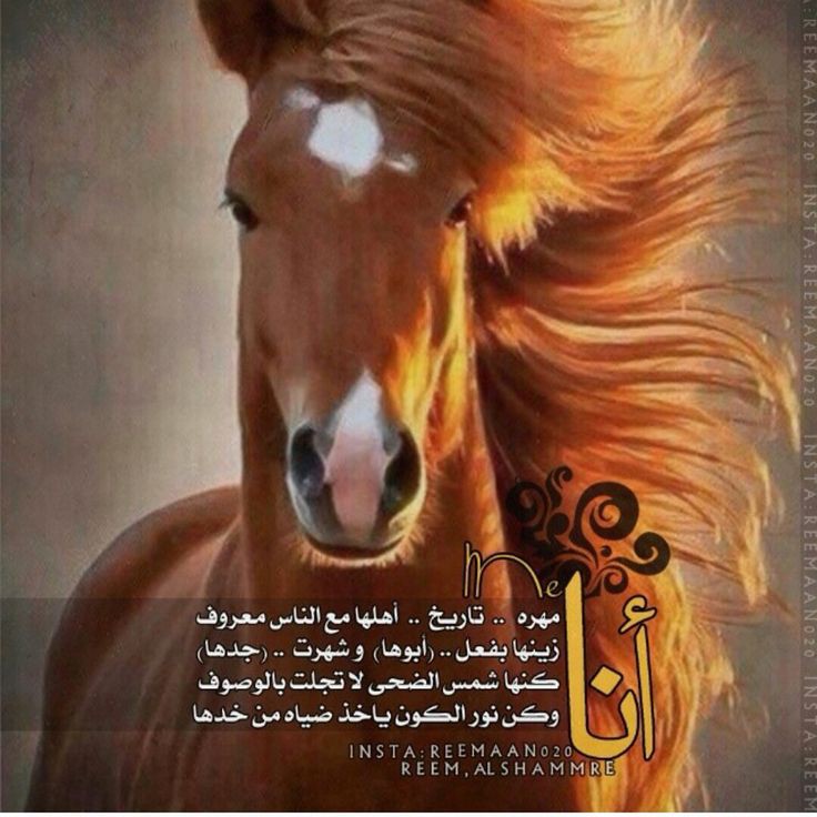 lwlh_2's tweet photo. #كم_مره_حبيت_جاوب أحب نفسي مليووون مرة 👏✨❤️ https://t.co/60cP1ZcBTw
