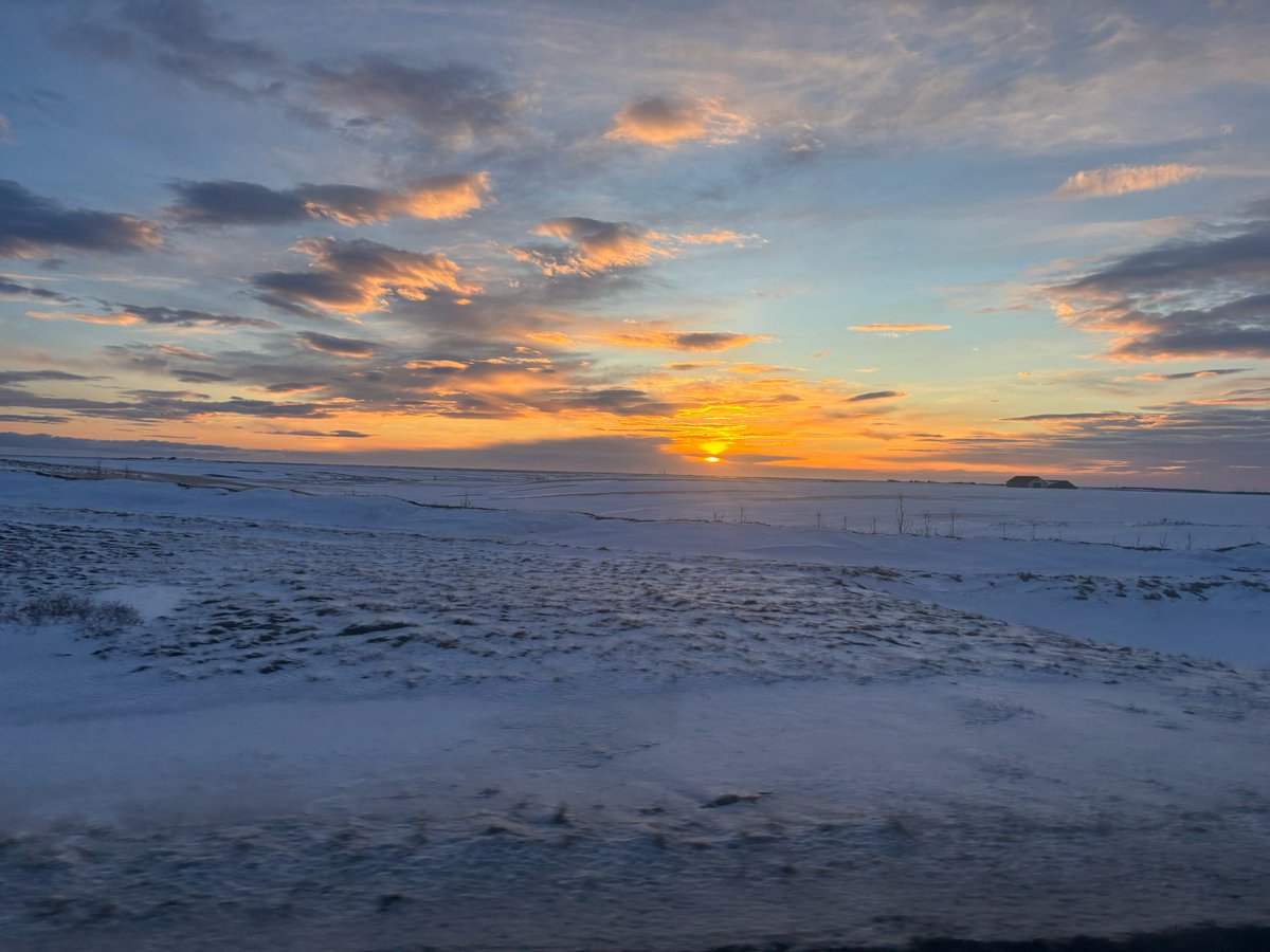 QM Geography tweet media