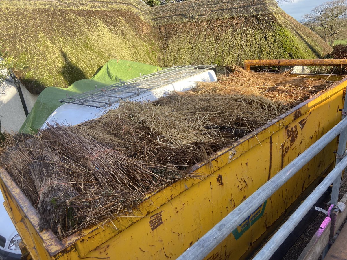 Master Thatchers Ltd tweet media