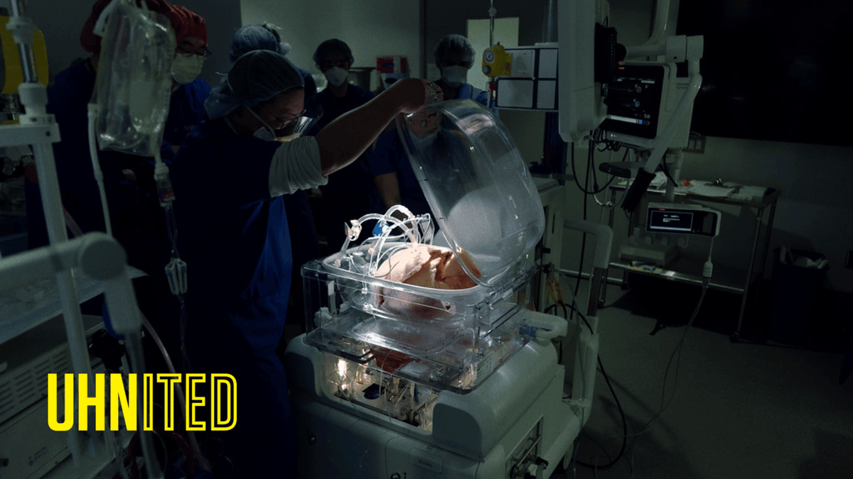 uhnfoundation's tweet photo. Using the Toronto Ex Vivo Lung Perfusion (EVLP) System to increase successful lung #transplants, @UHN is UHNITED in saving more lives and redefining the future of transplant.

Read more ➜ https://t.co/NSShWSNaSz

@UHNtransplant @SKeshavjee @MarceloCypel https://t.co/xAE1BCsMNp