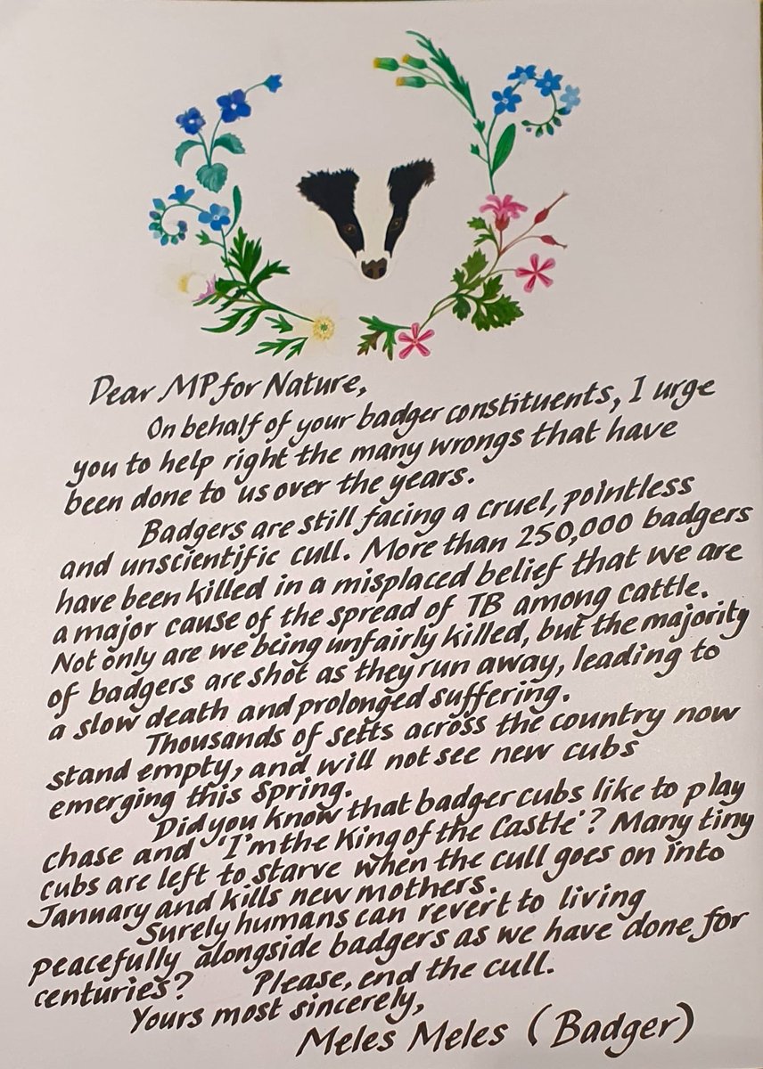 I’ve been going through casework from constituents this week. A powerful letter: please retweet to your MP @BadgerTrust @ChrisGPackham #EndTheCull #MPforNature